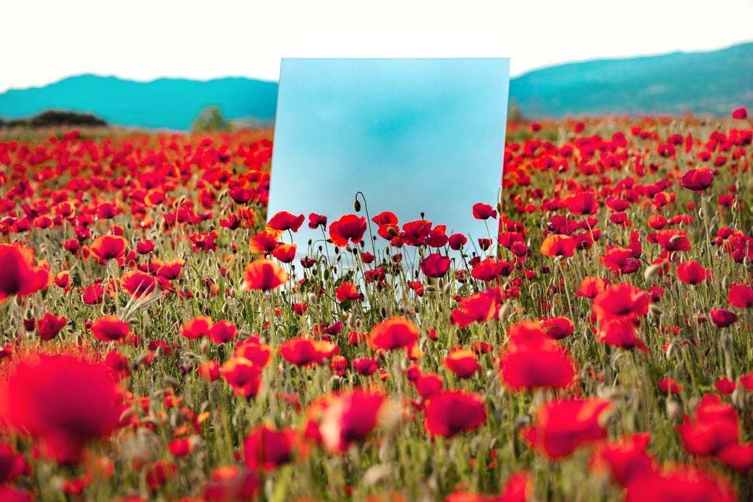 "Poetic Picture Of Mirror Reflecting Blue Sky Between Red Poppies Field During Spring In Spain" By Artur Debat