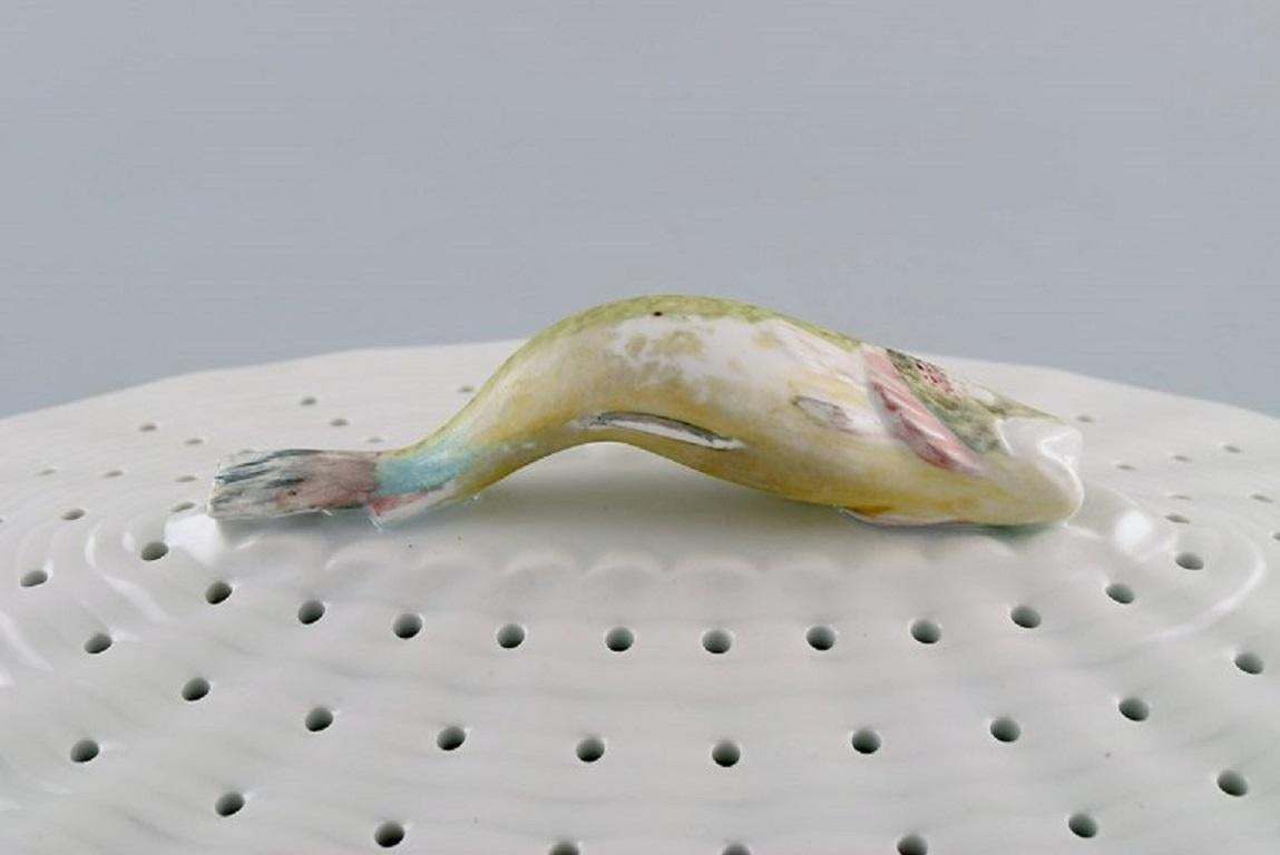 Large Royal Copenhagen Fauna Danica  Flora Danica Porcelain Fish Strainer photo Home Decor