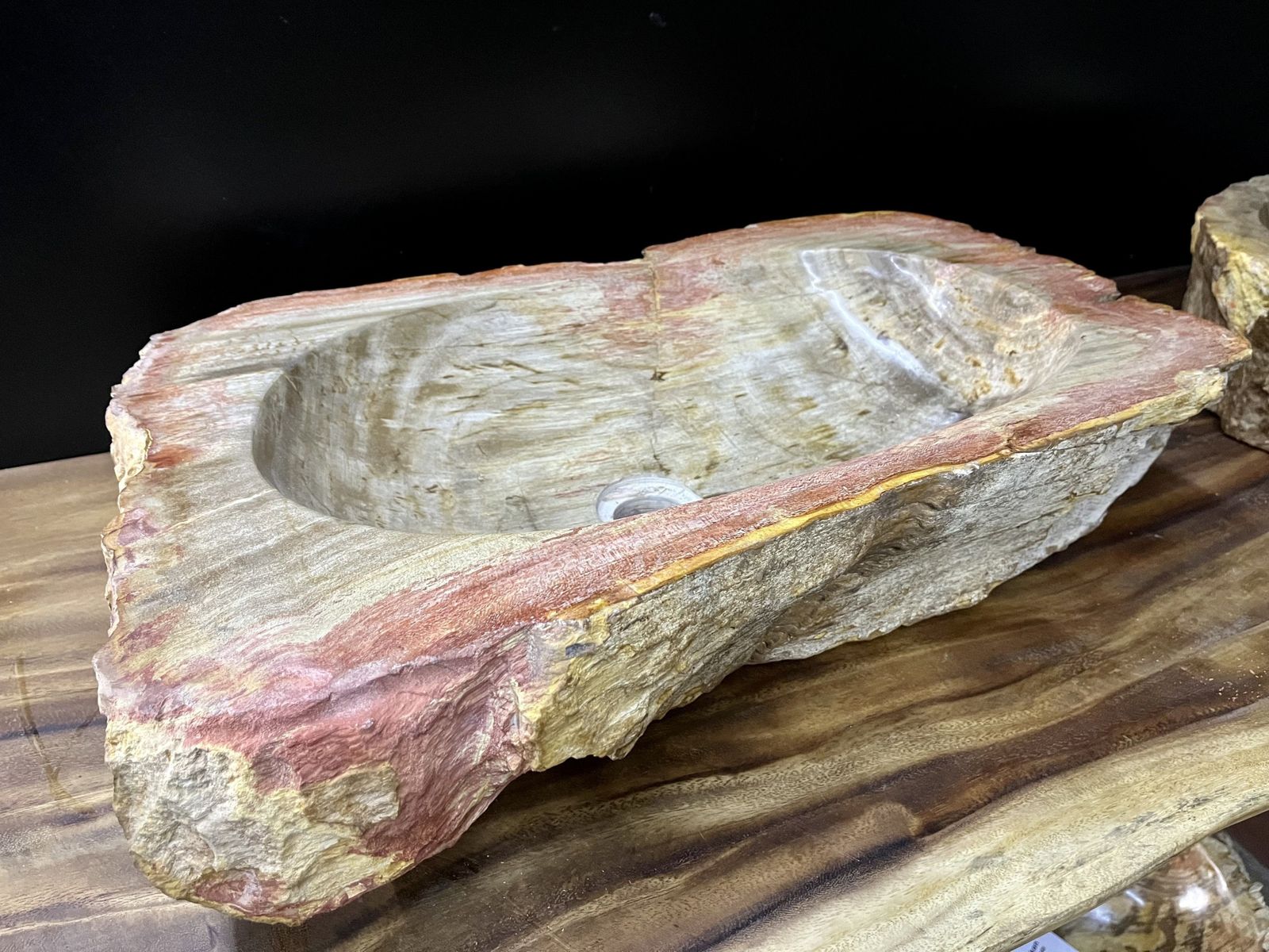 Petrified Wood Sink In Beige/ Grey/ Red & Yellow Tones, Top Quality, Organic Modern, 2021 photo 2390.0