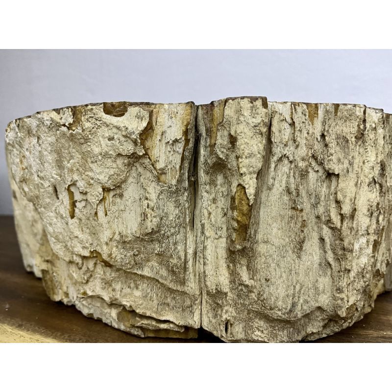 Petrified Wood Sink Brown/ Beige/ Yellow & Red Tones Polished Top Quality photo 1350.0