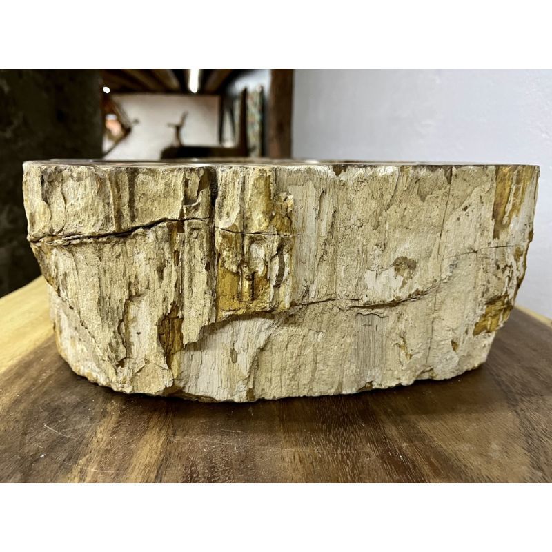 photo furniture Petrified Wood Sink Brown/ Beige/ Yellow & Red Tones Polished Top Quality
