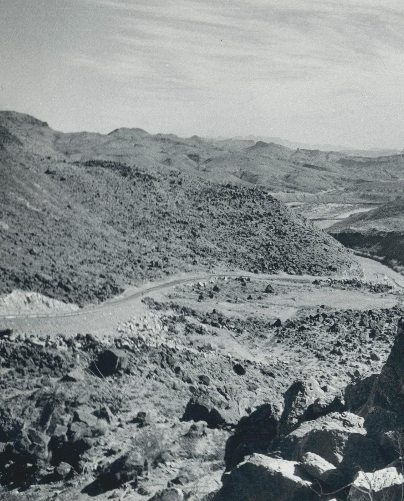 Cacti Rio Grande Black And White USA 1960s photo furniture