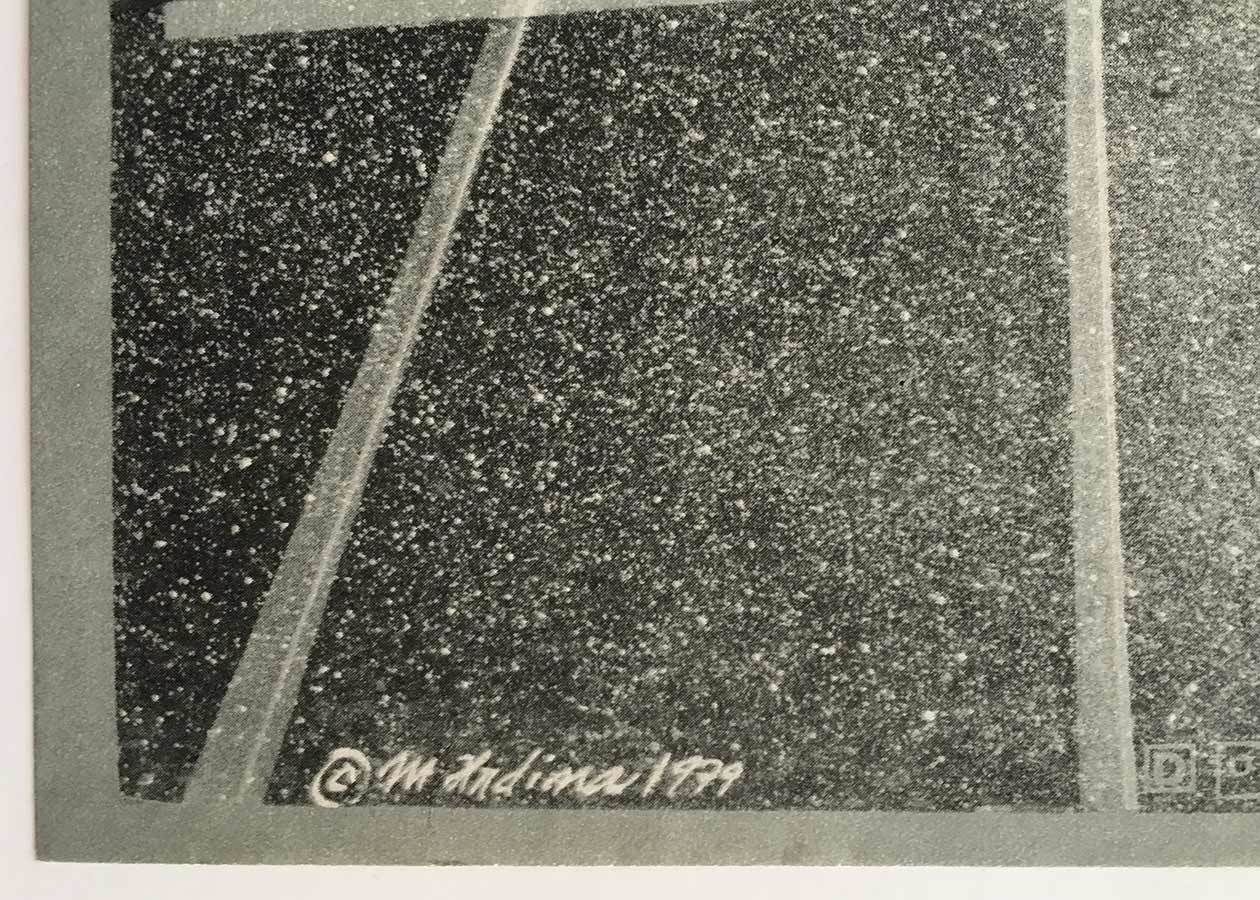 Movie Poster, Velvet Season, Miroslav Hrdina, 1979 photo buy