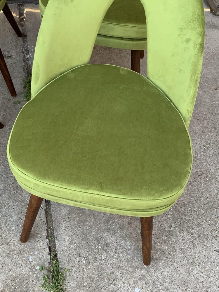 Mid Century Dining Chairs By Antonín šuman For Tatra Nábytok, 1960s, Set Of 4 photo vintage