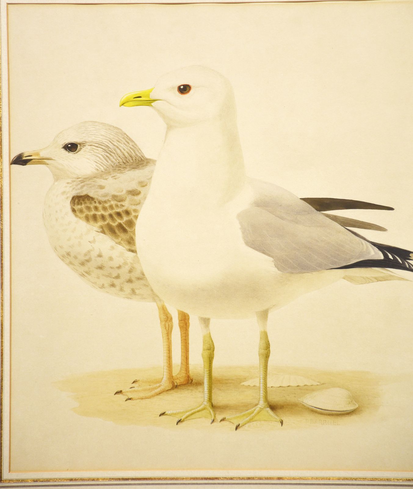 Paul Louis Barruel Watercolour On Paper photo Art