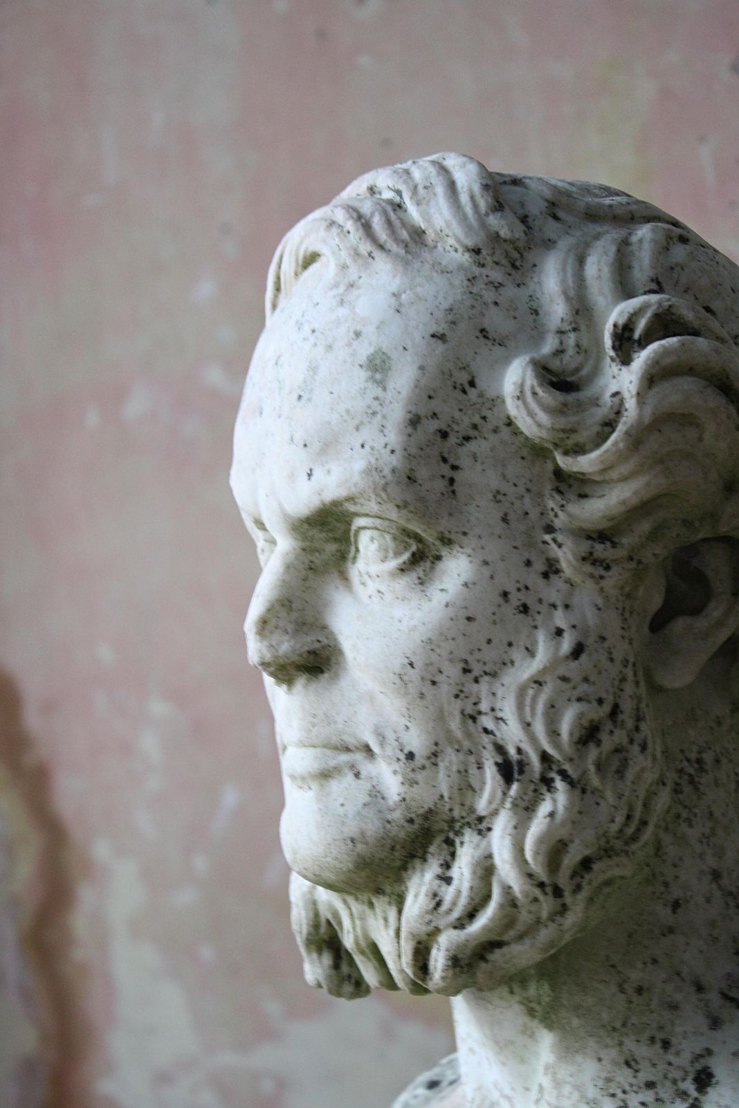 William Theed The Younger 1804 91 Marble Bust Of William Ewart Gladstone 1868 photo Art
