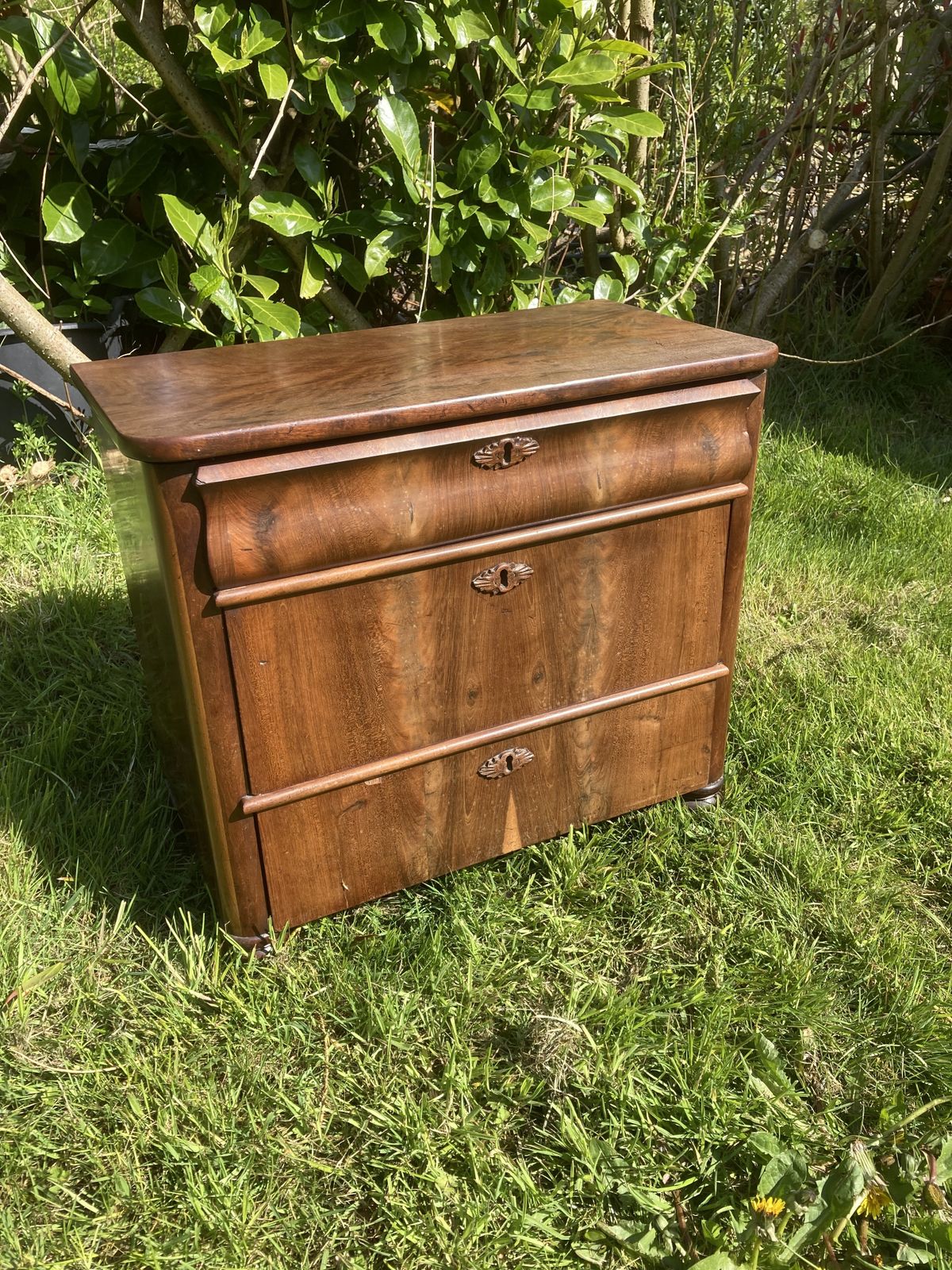 Walnut Continental Chest Of Drawers