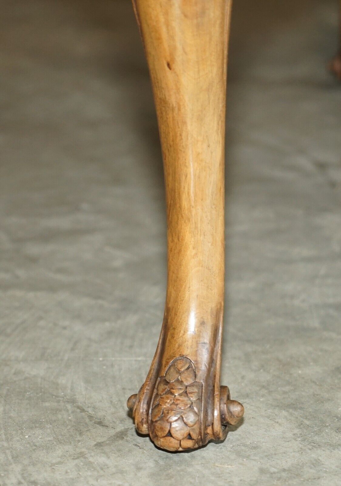 Exquisite Burr Walnut Coffee Cocktail Table With Ornately Carved Cabriole Legs photo vinterior