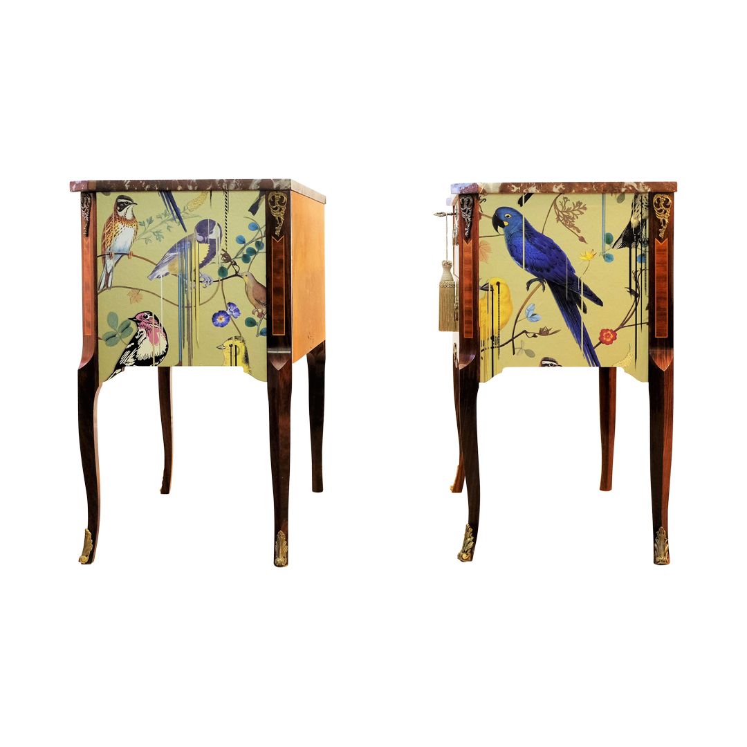 Classic Gustavian Louis XV Style Chests With Christian Lacroix Design   Pair photo vinterior