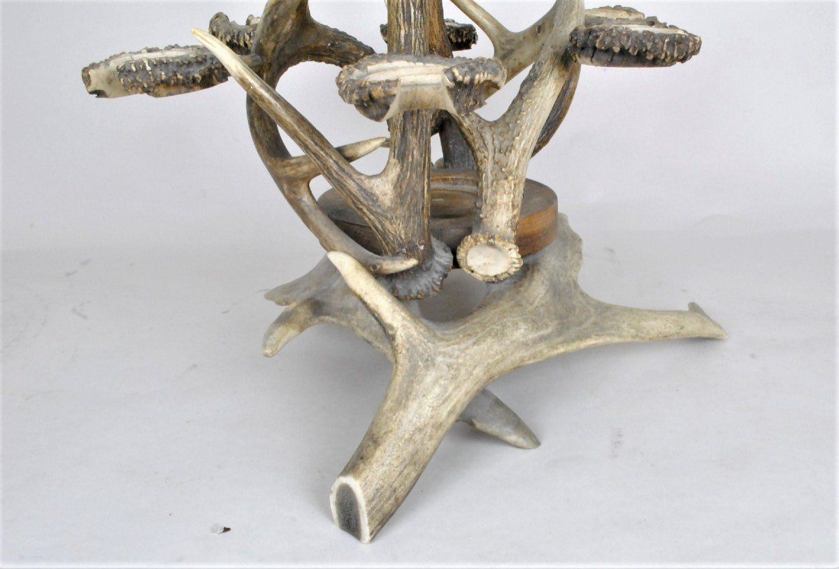 Glass Holder And Bottle In Horn, End Of The Xi Xth Century photo for sale