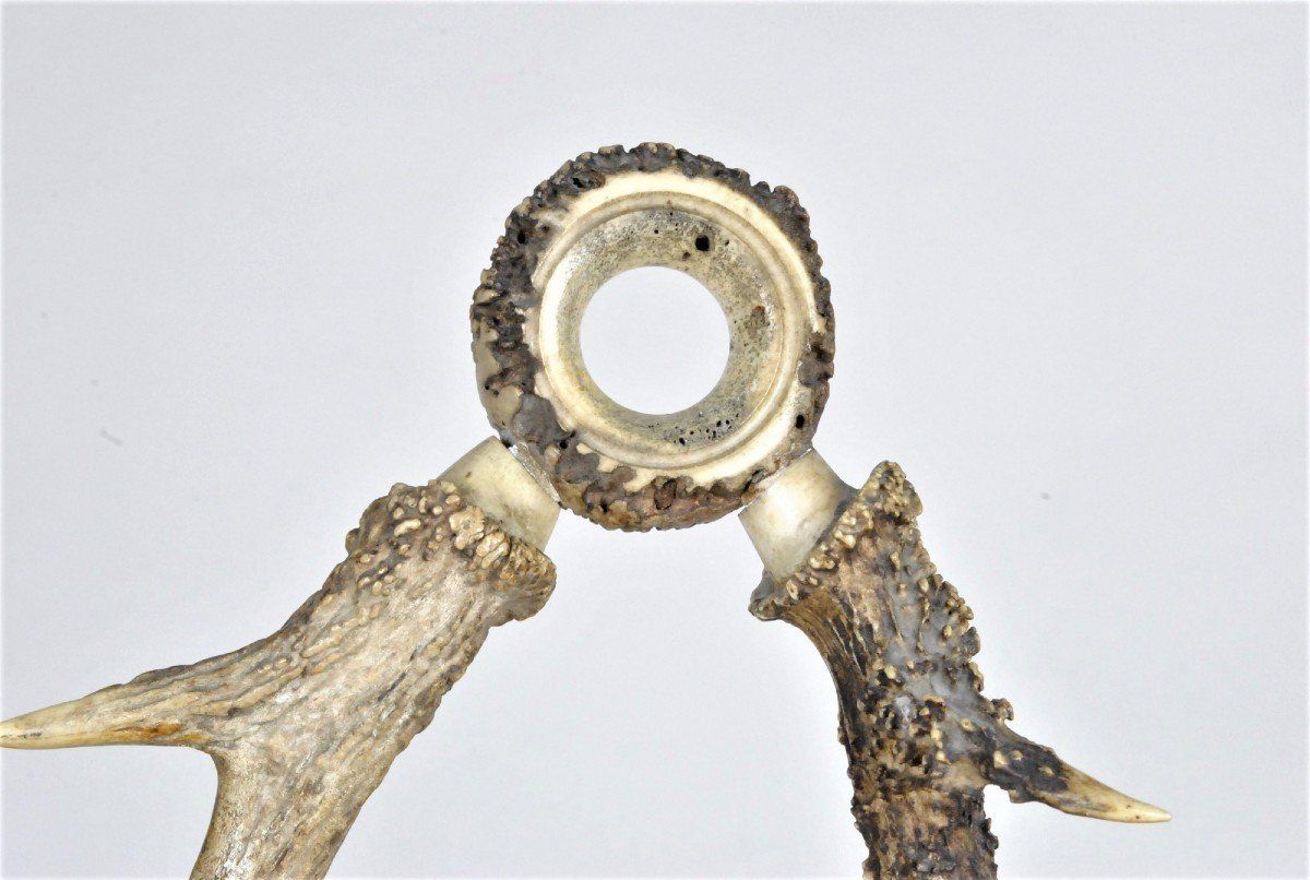 Glass Holder And Bottle In Horn, End Of The Xi Xth Century photo vinterior