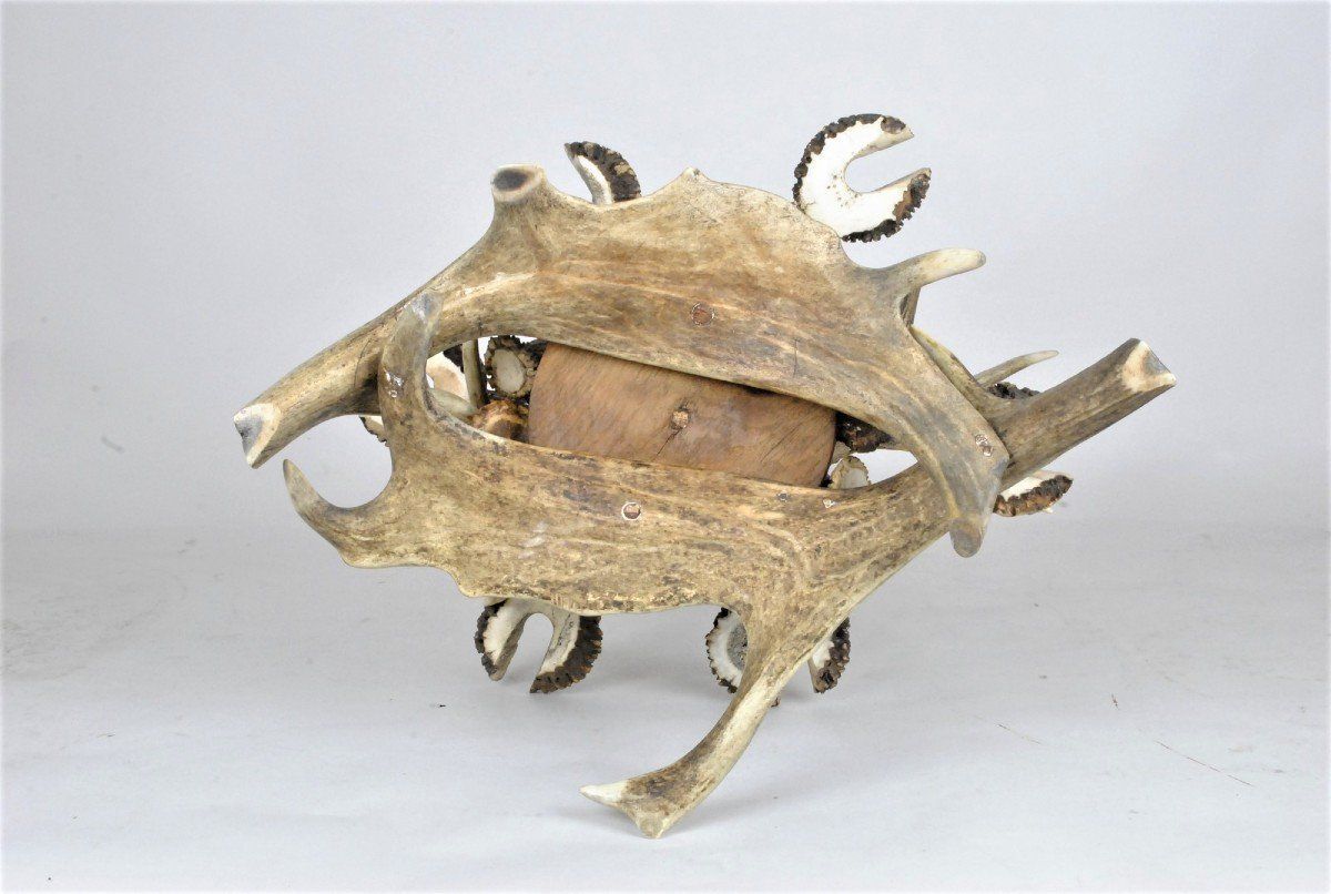 Home Decor Glass Holder And Bottle In Horn, End Of The Xi Xth Century photo