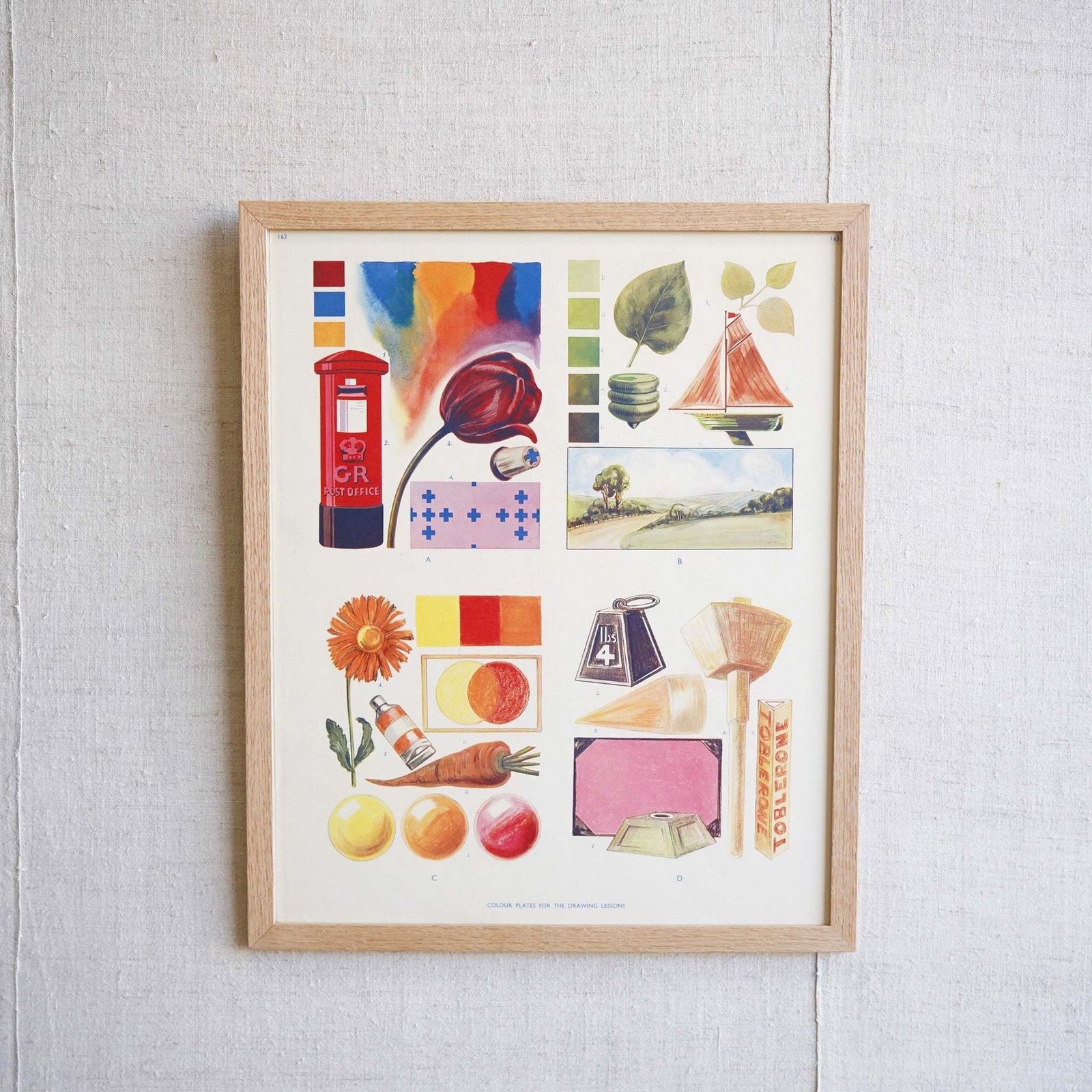 Framed Educational Print, Mid 20th Century