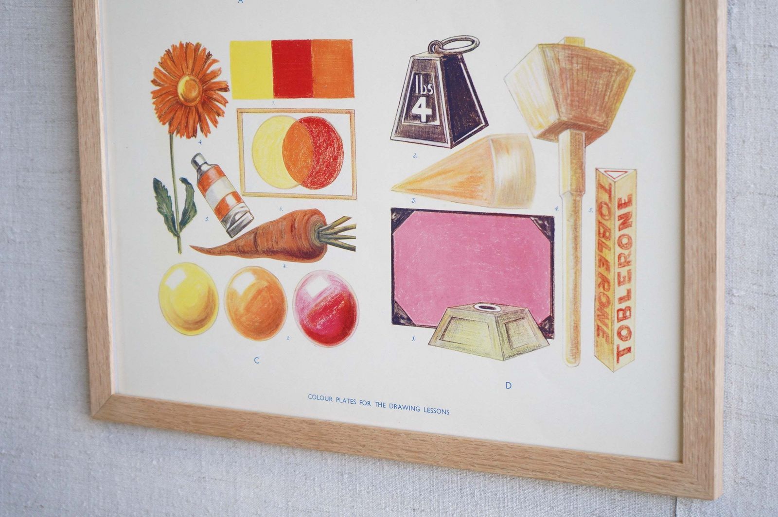 Framed Educational Print, Mid 20th Century photo Art