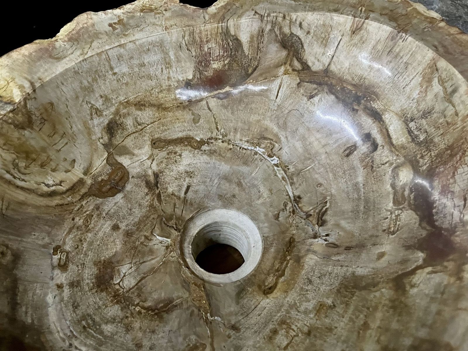 Petrified Wood Sink Beige/ Brown/ Grey Tones, Polished   Top Quality photo for sale