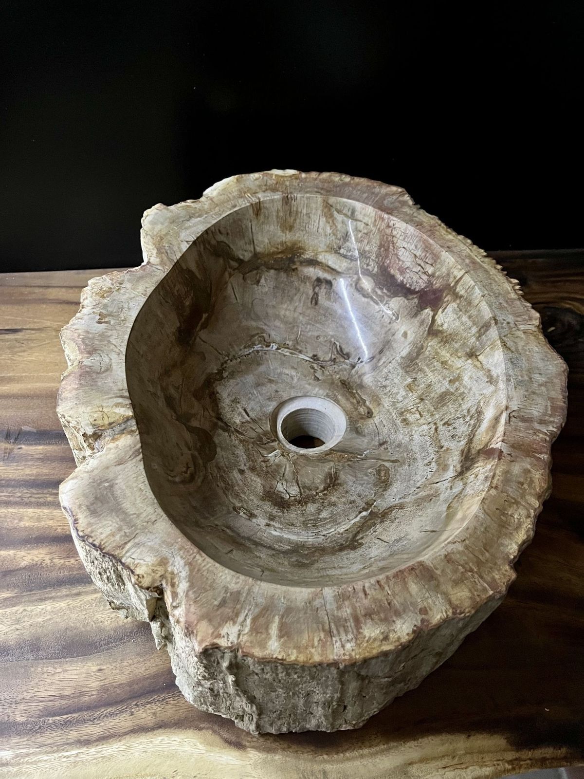 Petrified Wood Sink Beige/ Brown/ Grey Tones, Polished   Top Quality photo buy