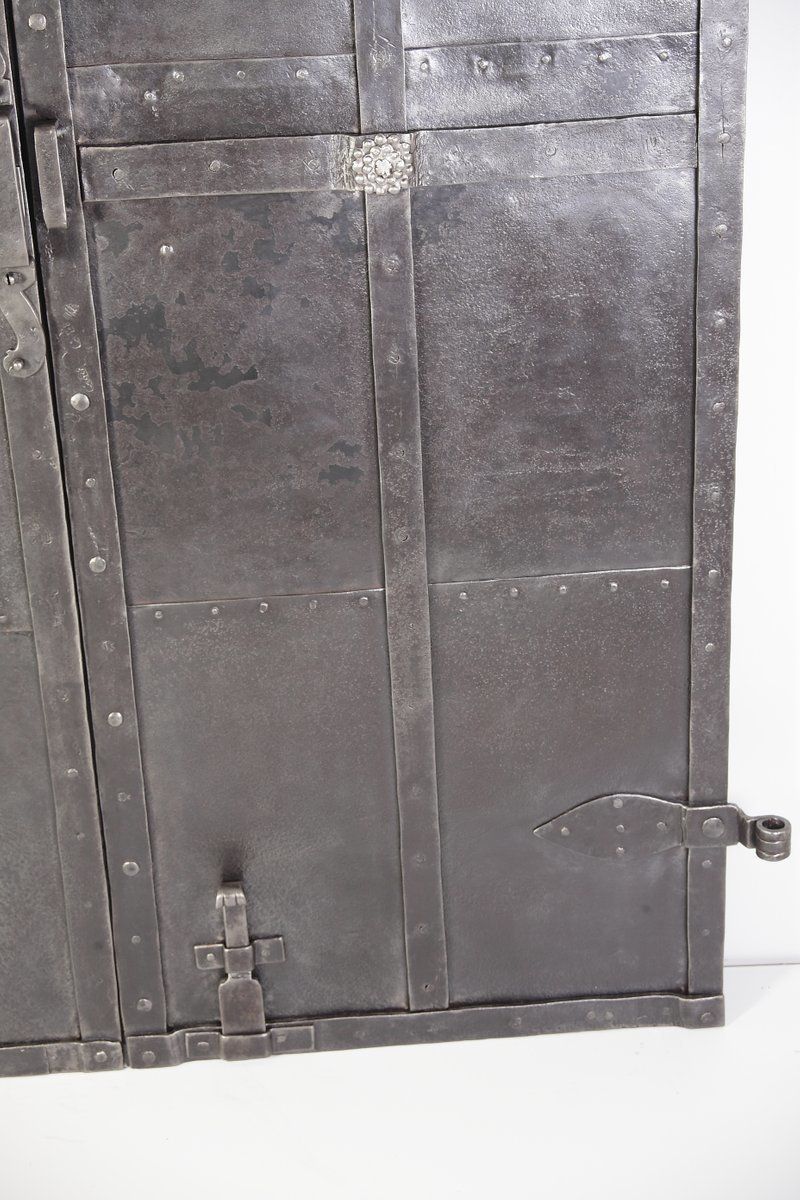 Antique Iron Clad Double Doors, 1800s photo vinterior