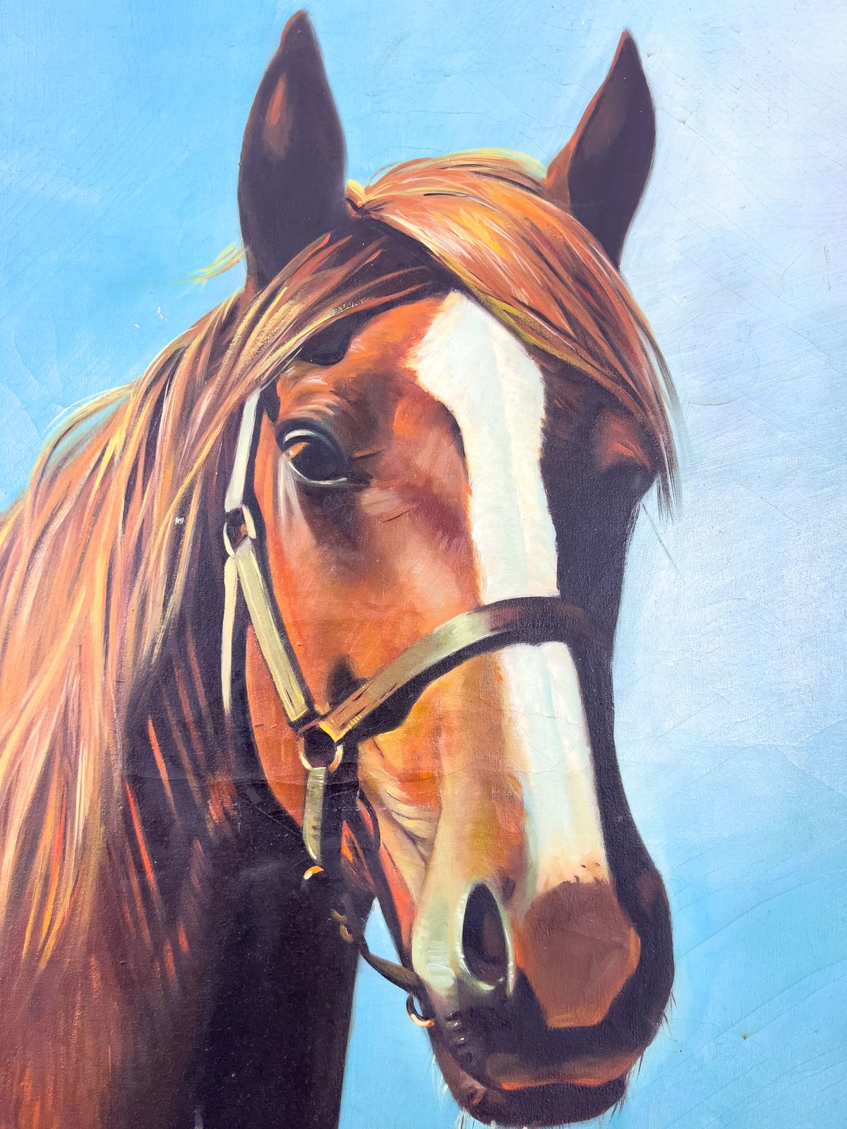 Oil On Canvas Arabian Horse Painting photo Art