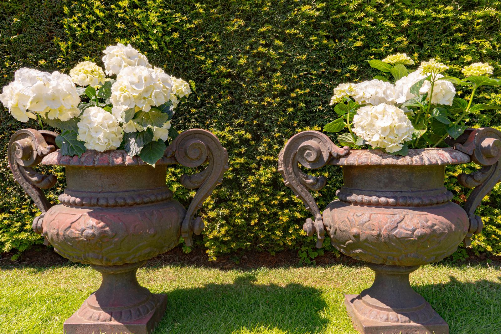 A Pair Of Antique Cast Iron French Garden Urns photo for sale