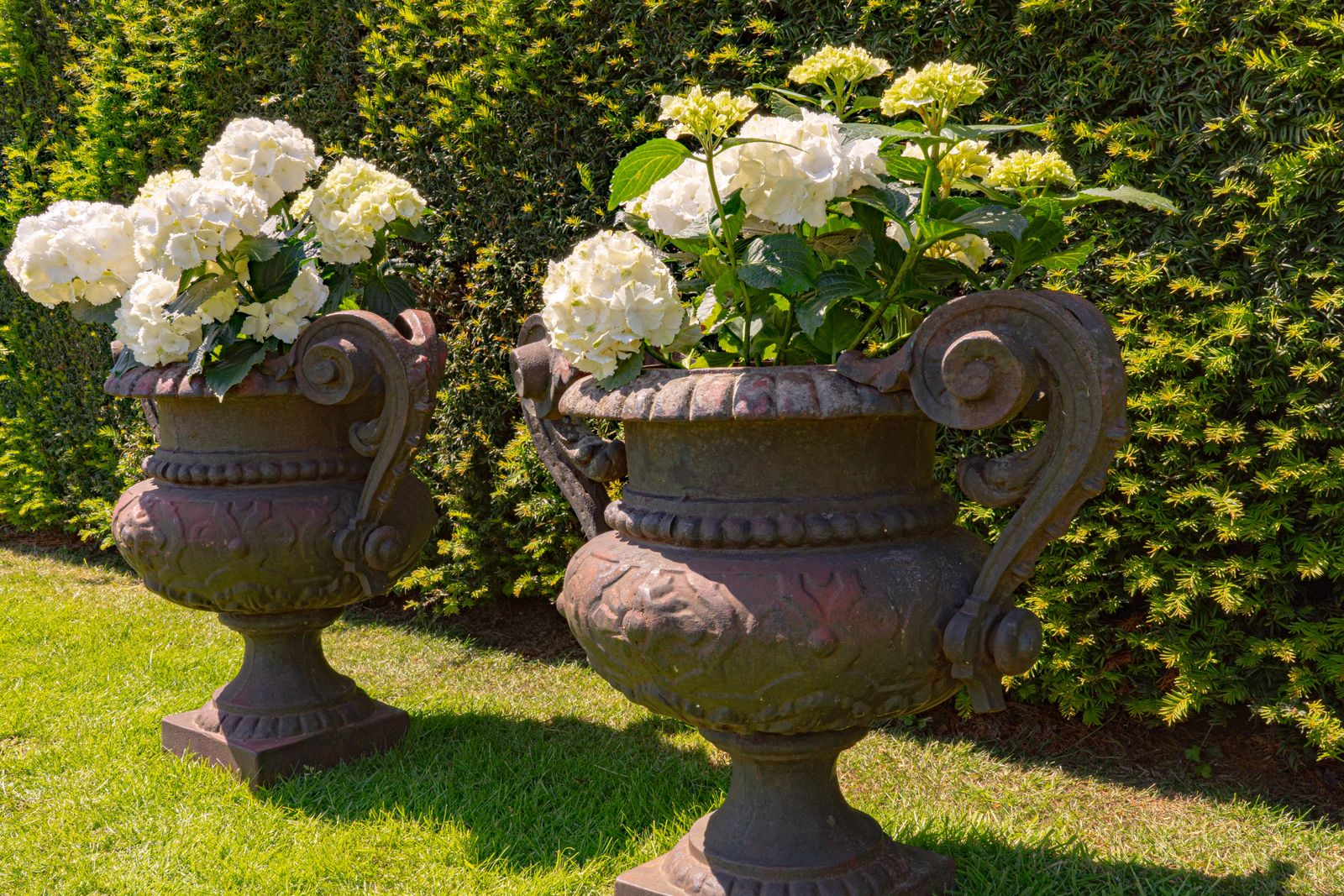 Garden Decor A Pair Of Antique Cast Iron French Garden Urns photo