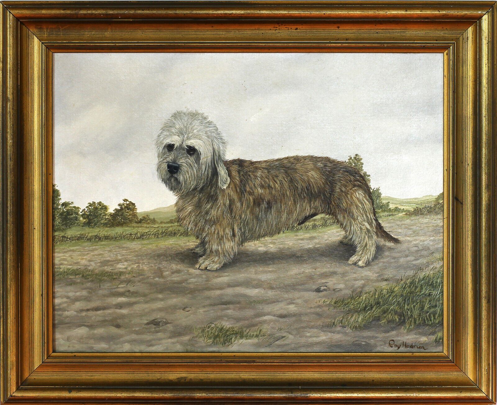 Oil On Board By Roy Hodrien. A Dandie Dinmont Terrier.