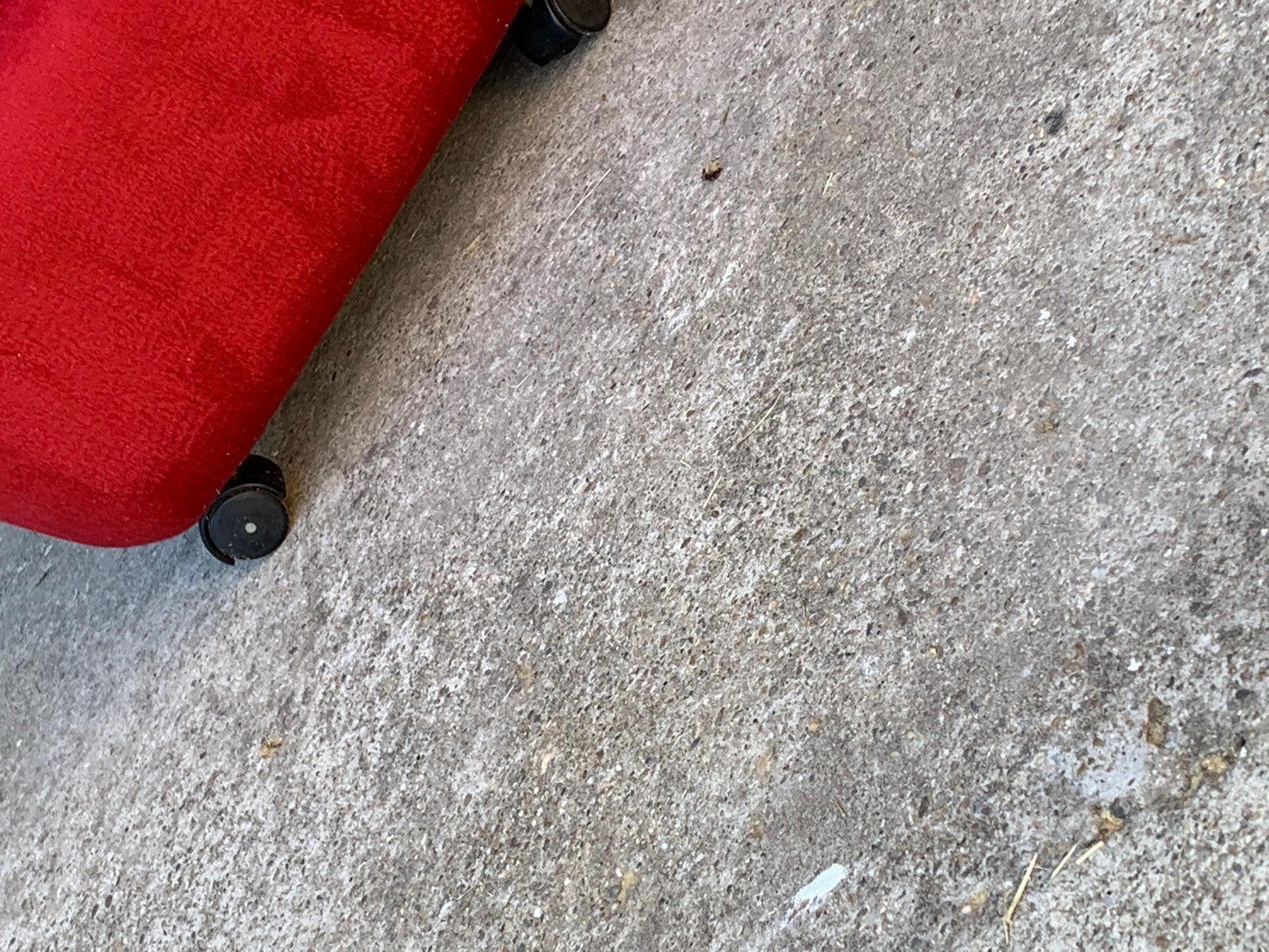 Mid Century Red Velvet Armchairs, 1960s, Set Of 2 photo 964.0