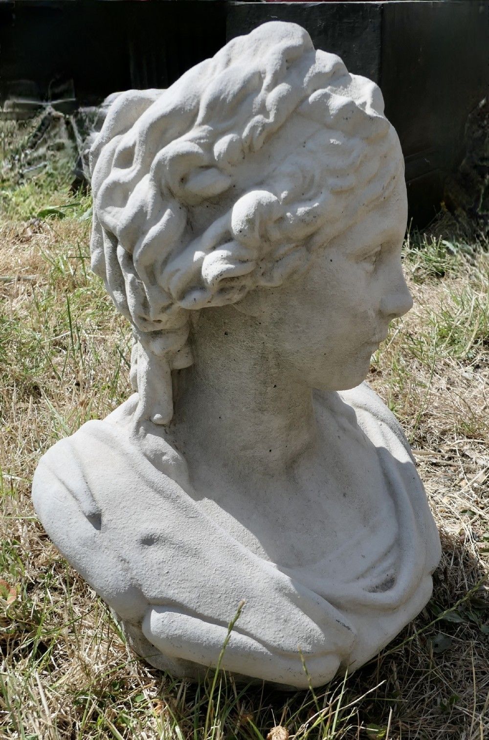 A Good Large Bust Of A Regency Lady photo Art
