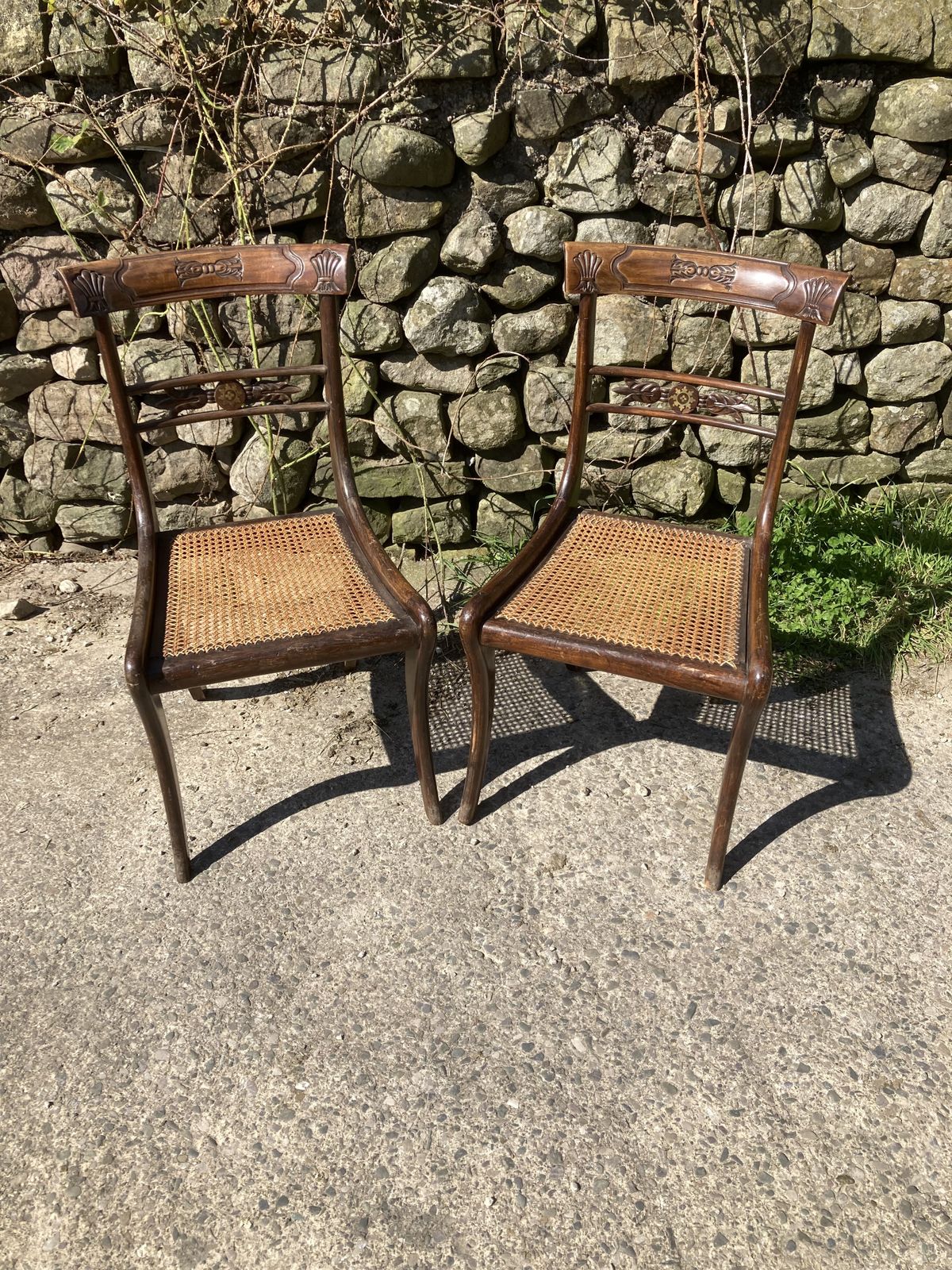 Pair Of 1800s Simulated Rosewood, Cane, Saber Leg Dining Chairs photo buy