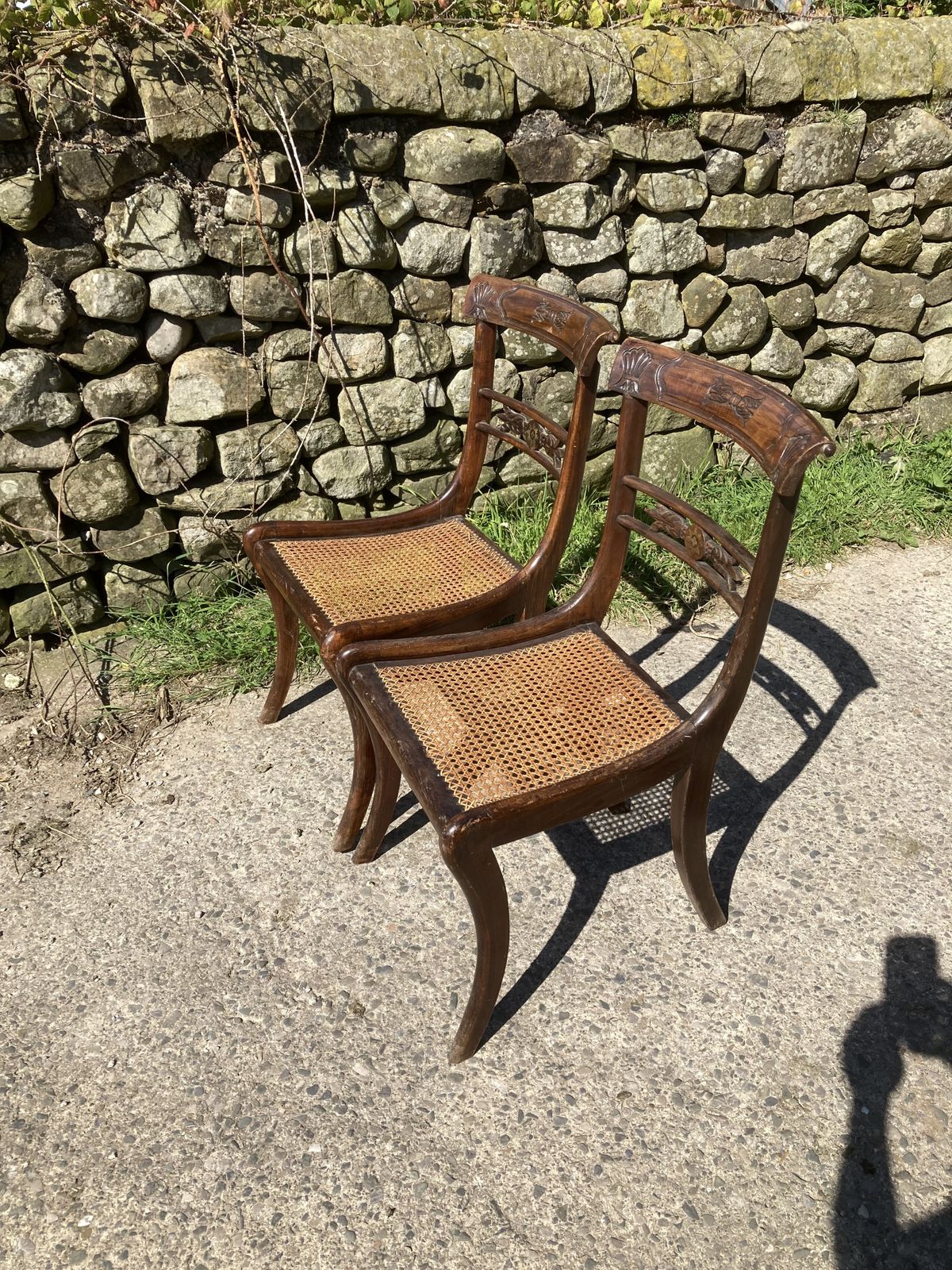 Furniture Pair Of 1800s Simulated Rosewood, Cane, Saber Leg Dining Chairs photo