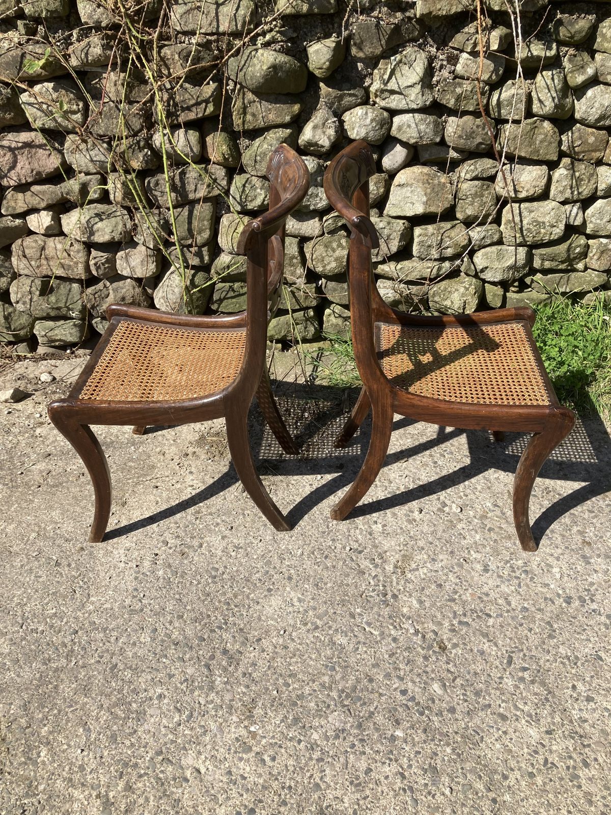 150.0 Pair Of 1800s Simulated Rosewood, Cane, Saber Leg Dining Chairs photo