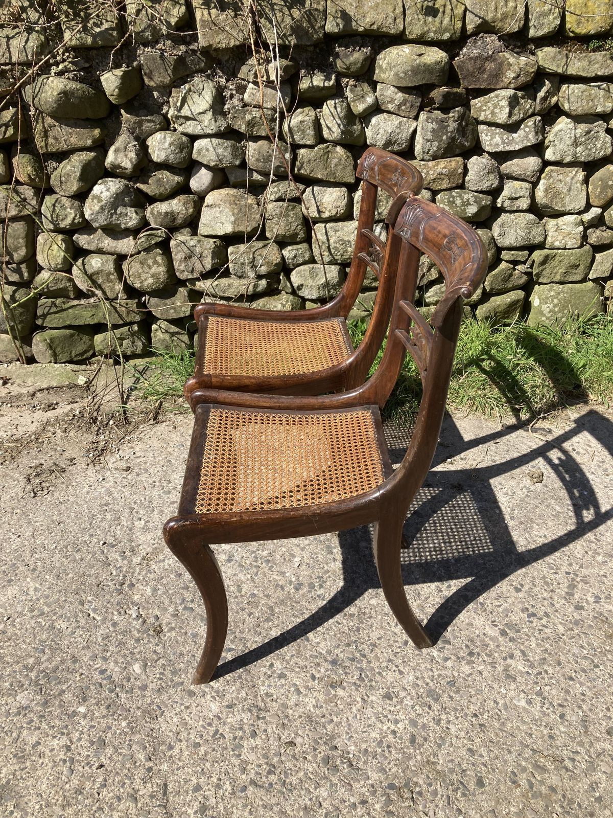 photo buy Pair Of 1800s Simulated Rosewood, Cane, Saber Leg Dining Chairs