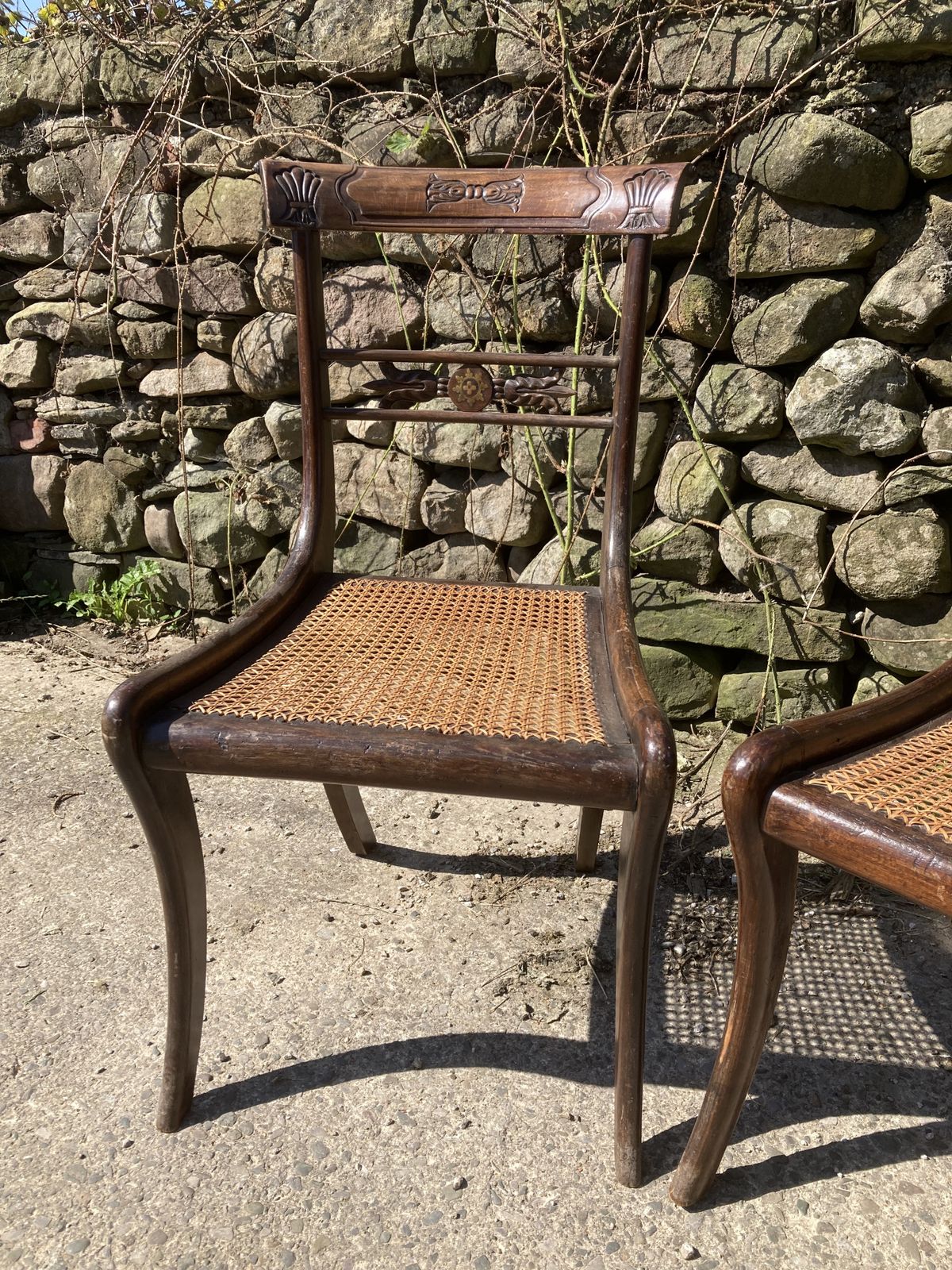 photo vintage Pair Of 1800s Simulated Rosewood, Cane, Saber Leg Dining Chairs