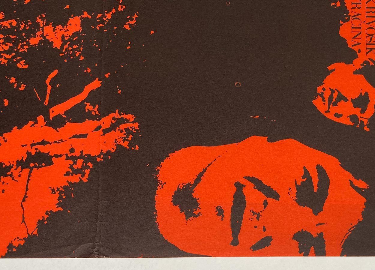 Movie Poster, The Day Which Does Not Die, Milan Veselý, 1974 photo for sale