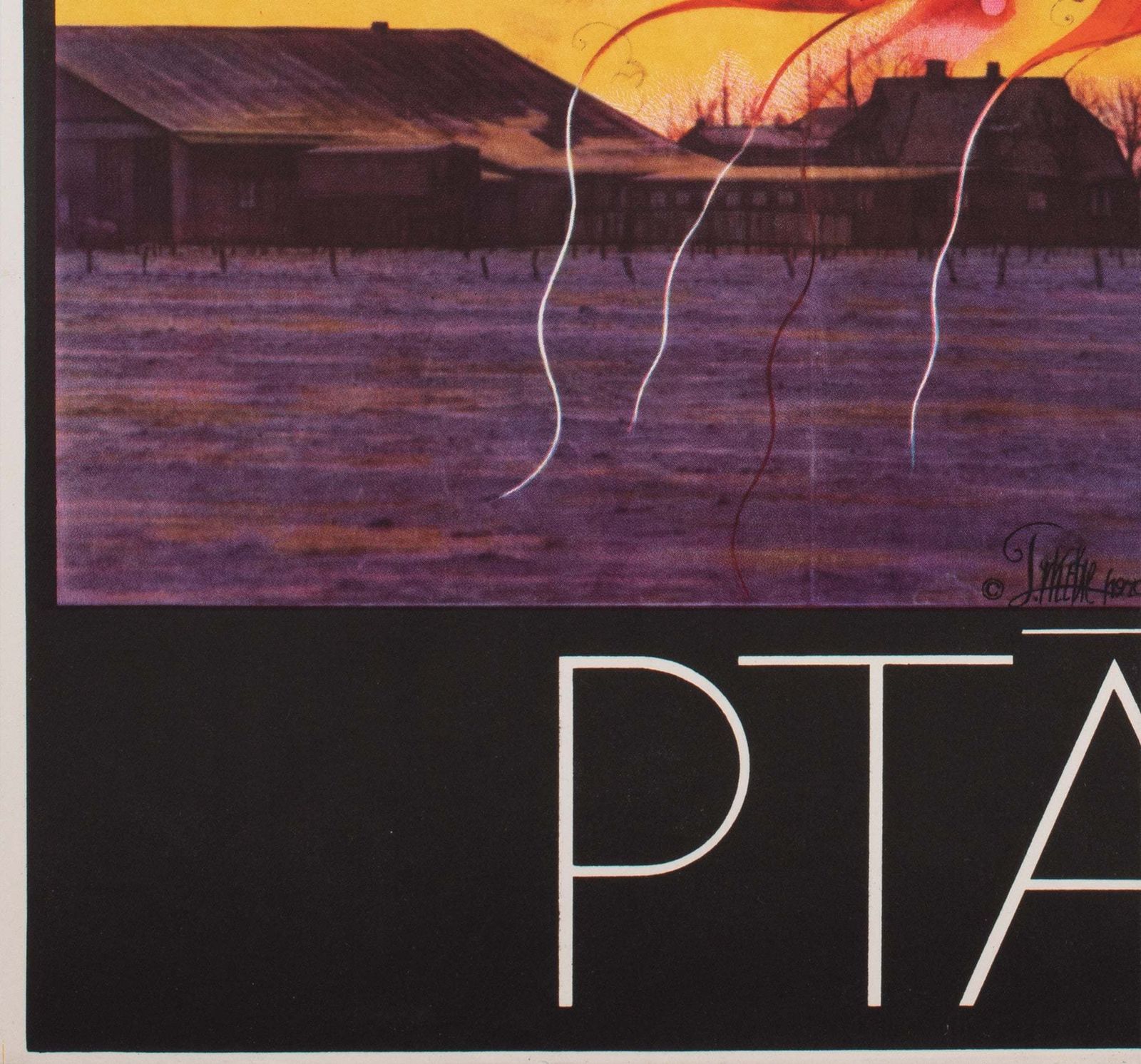 The Birds 1970 Czech A1 Film Poster, Vyletal photo vintage