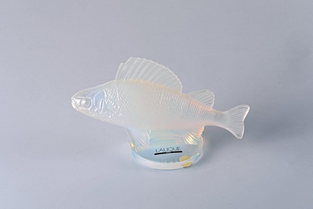 Opalescent Crystal "Perche" Fish Mascot Or Paperweight By René Lalique, France photo for sale