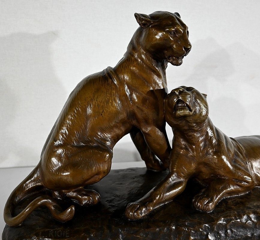 Important Bronze "Couple Of Lionesses", By L. Riché   Early 20th Century photo Art