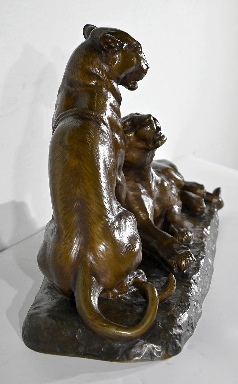 7488.1 Important Bronze "Couple Of Lionesses", By L. Riché   Early 20th Century photo