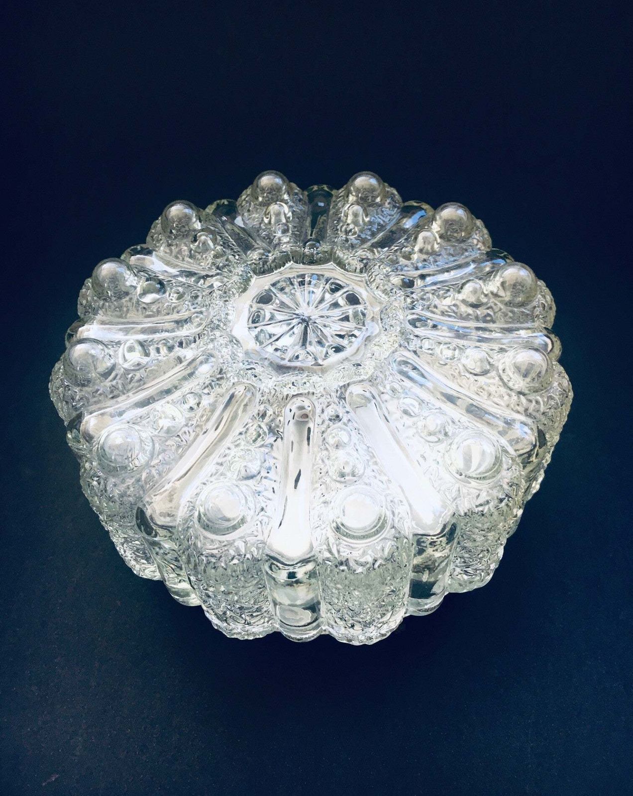 1960's Raised Flower Glass Sconce Wall Lamp By Rzb Leuchten photo furniture