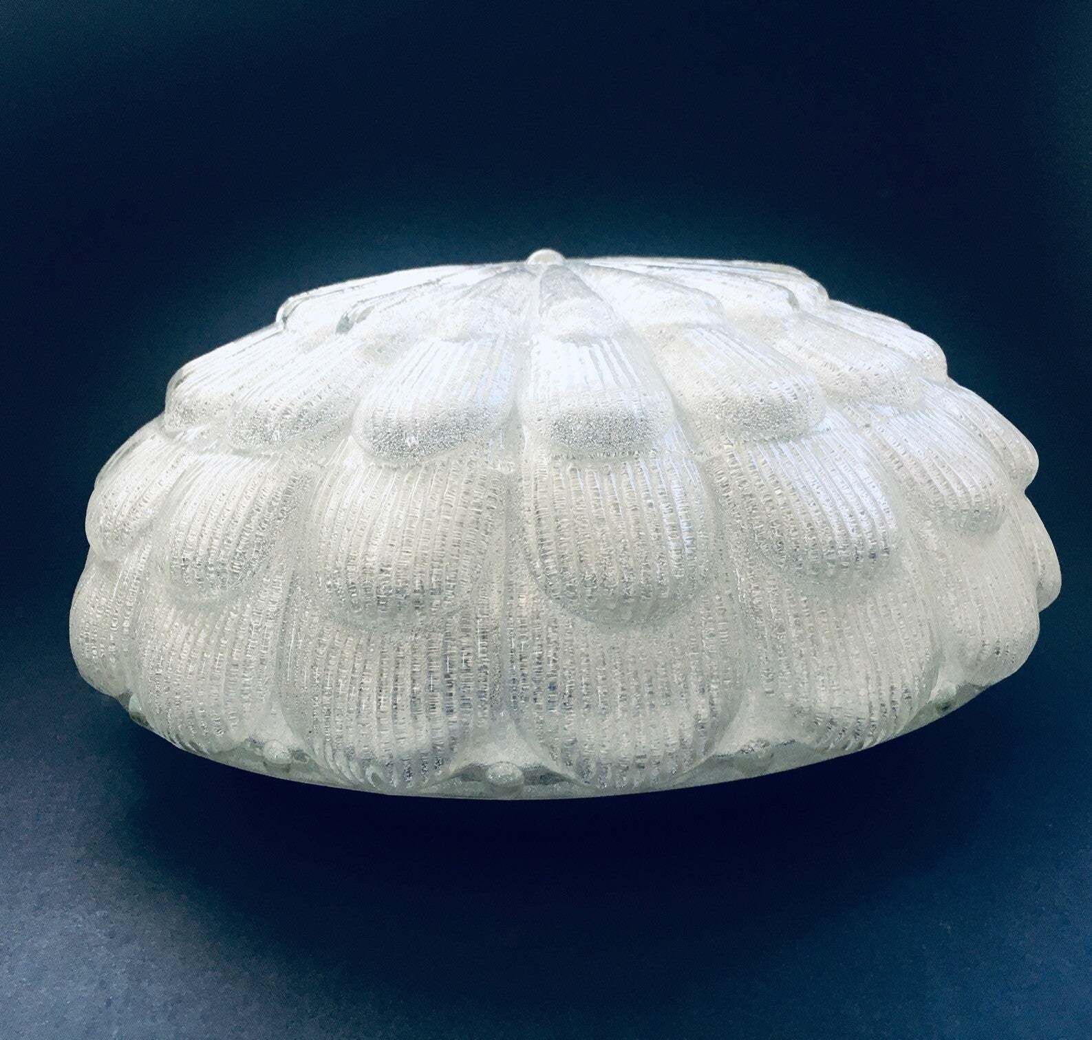 Mid Century Modern Design Grote Matglazen Bloem Wandlamp photo 434.0