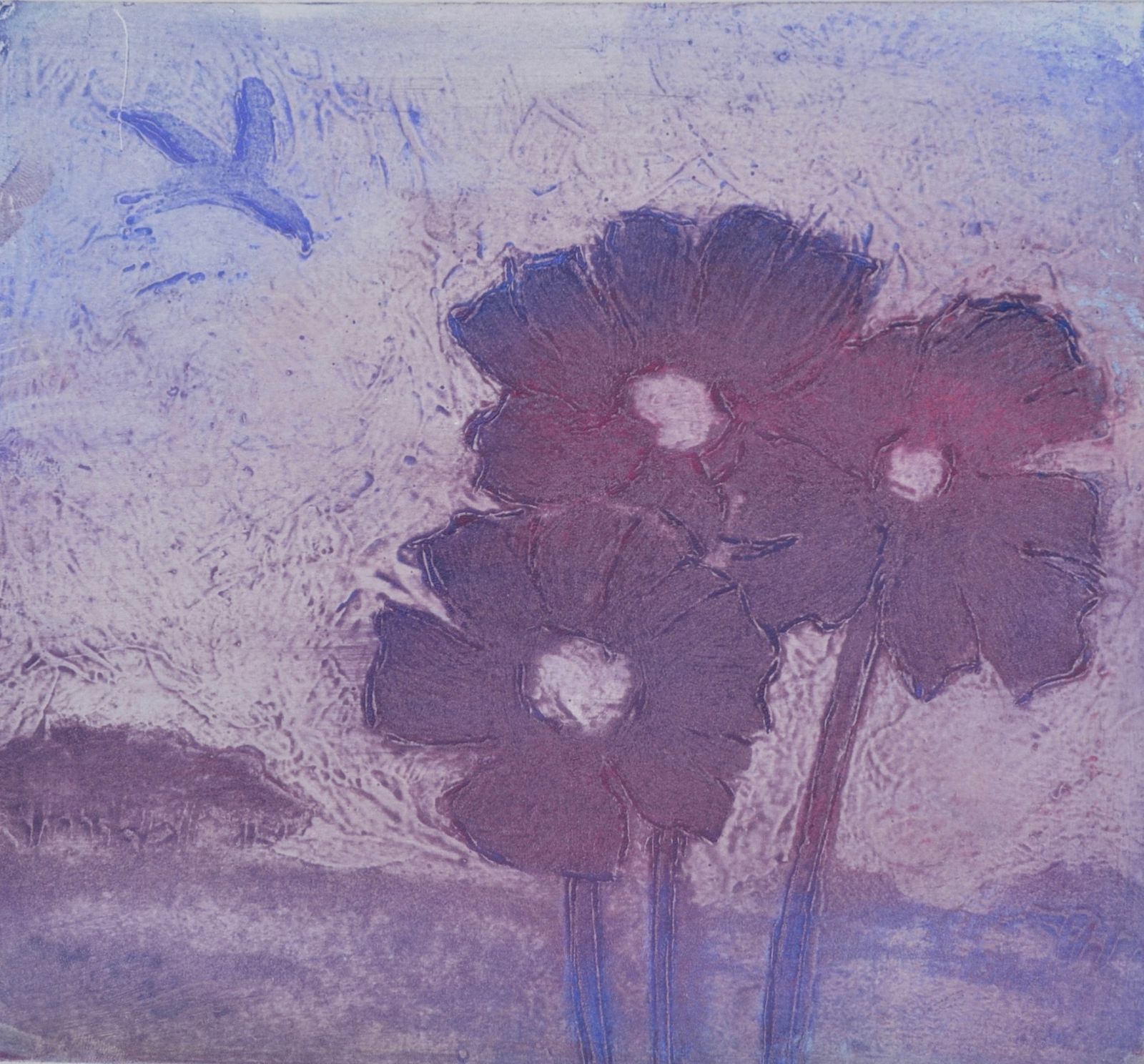 Purple Poppies,Contemporary Limited Edition Etching By Ian Laurie