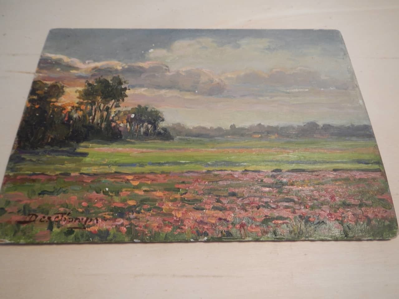 photo for sale Oil Painting By Des Champs " Coucher De Soleil"