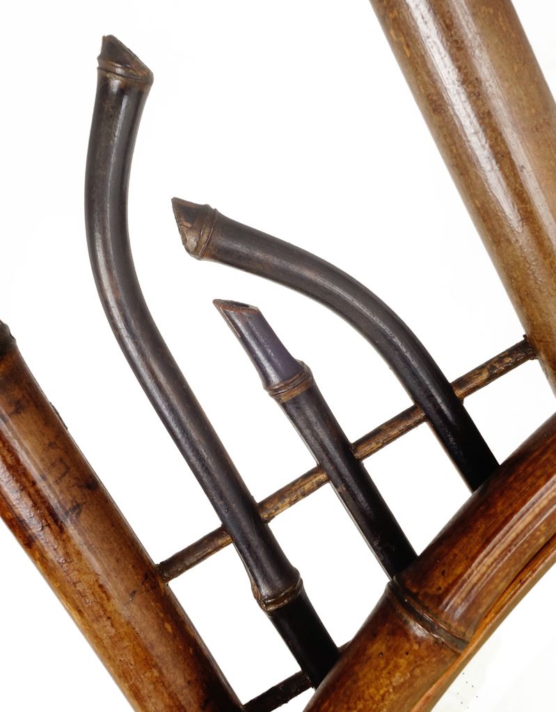 Bamboo  Coat  Stand, 1800s, Antique photo vintage