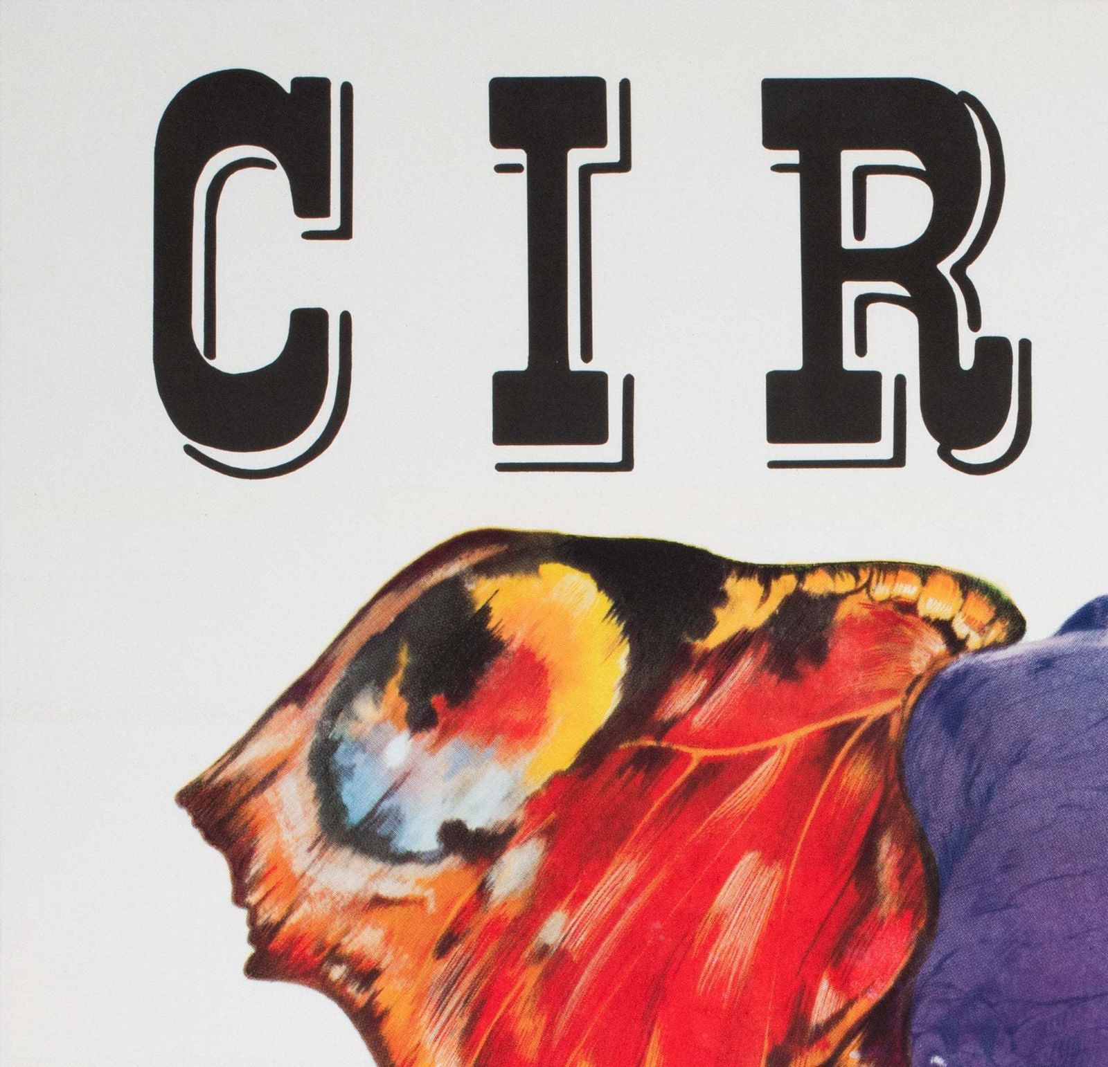 Cyrk Elephant Butterfly 1979 Polish Circus Poster, Pagowski photo for sale