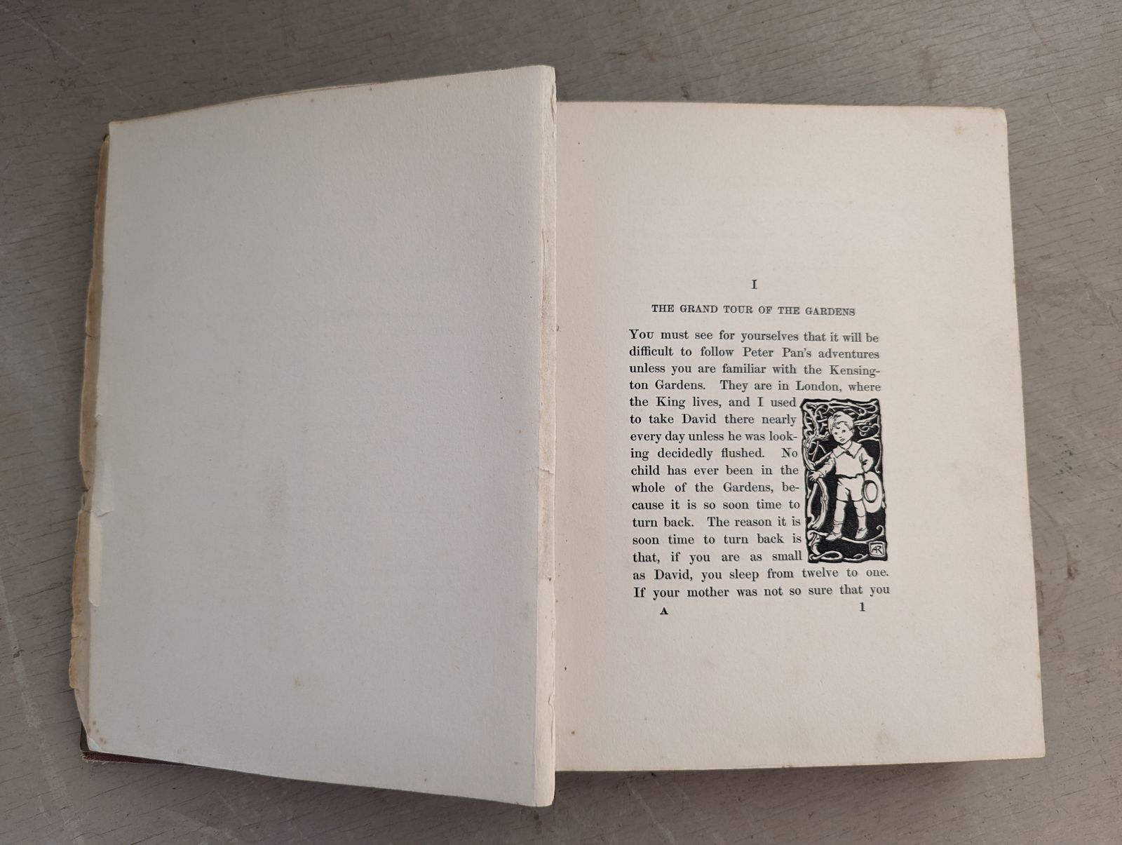 Collectable Classic Book   Peter Pan In Kensington Gardens photo 250.0