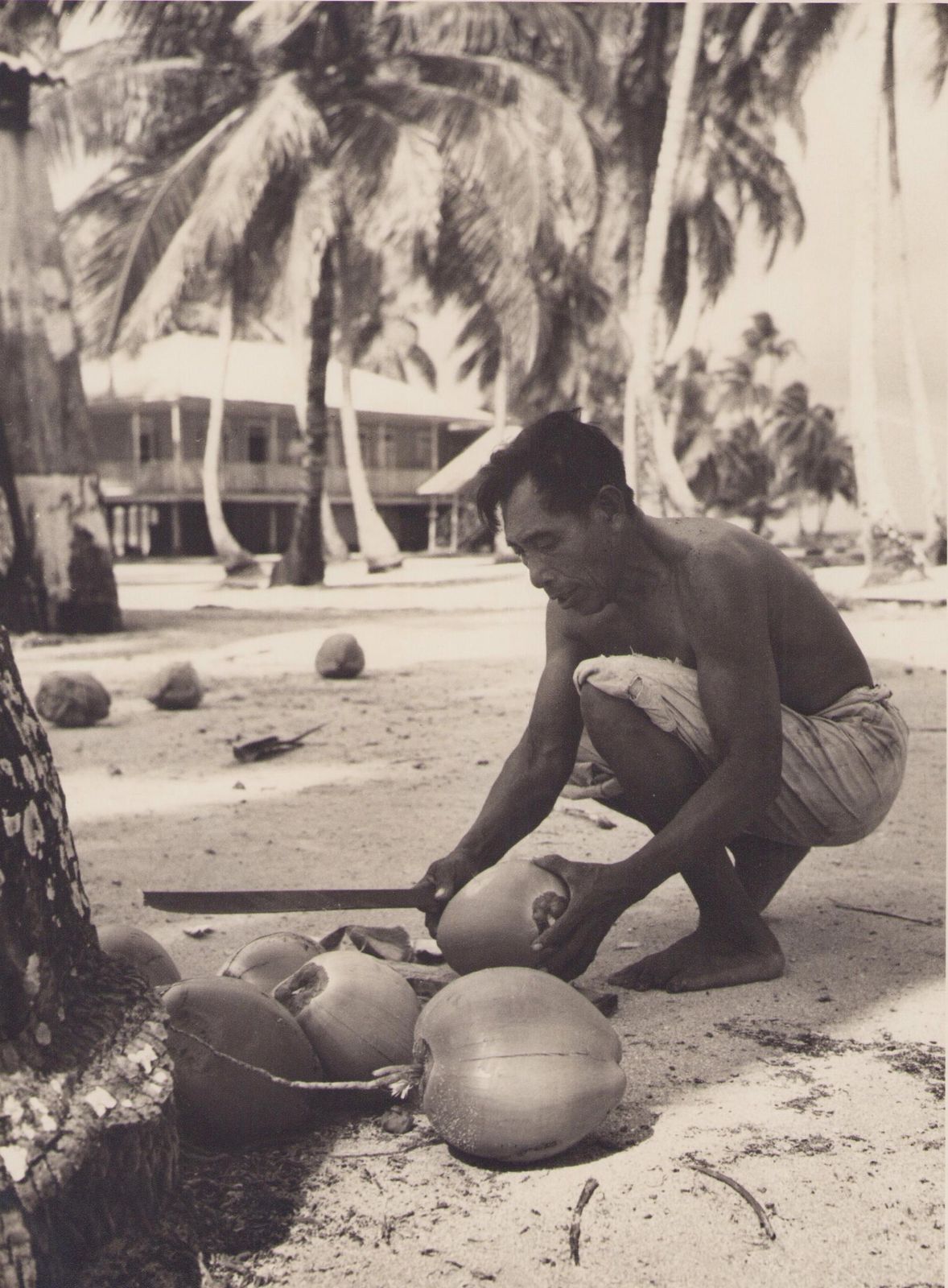 Hanna Seidel Panama, Man, Coconut, Black And White Photography, 1960s, 23,2 X 17,2 Cm Ca. 1960s