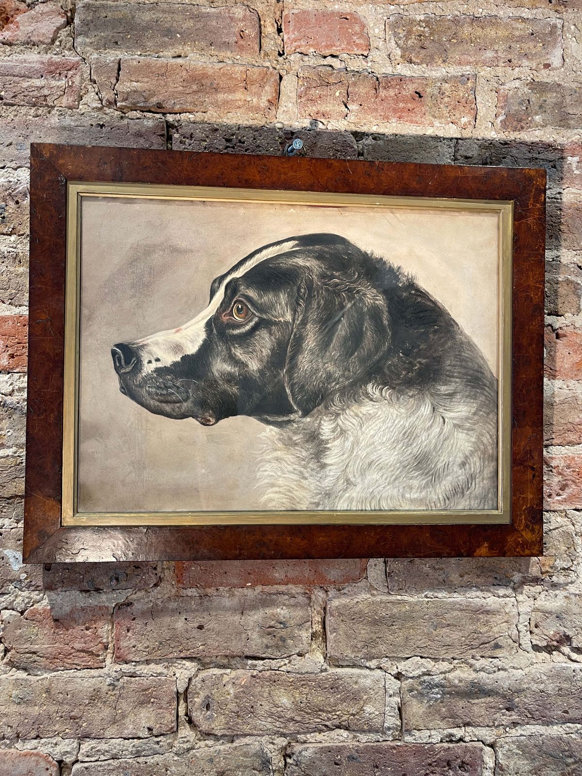 Rare Early Antique Watercolour Of Dog By Sought After/Collected French Artist Paul Allier Paris 1883   1953 photo for sale
