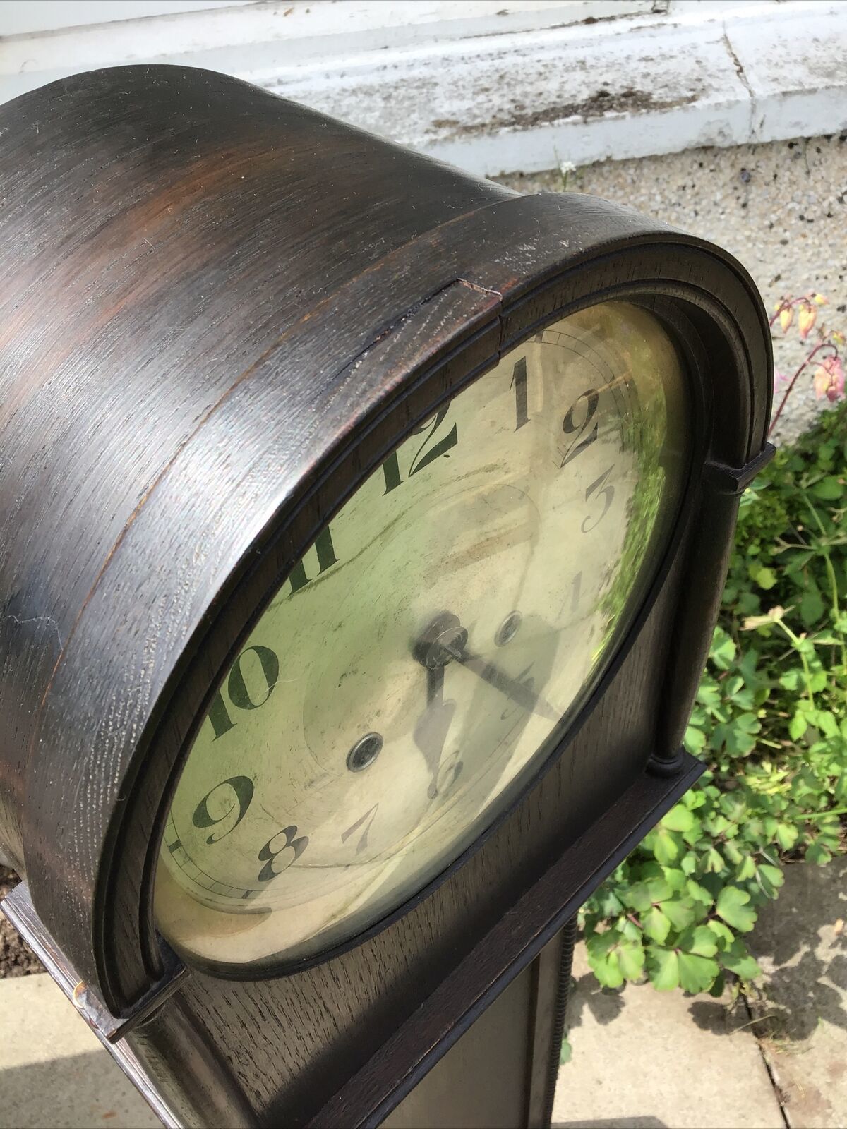 Tall Antique Dark Oak Grandmother Clock. Westminster Needs Some Attention photo for sale