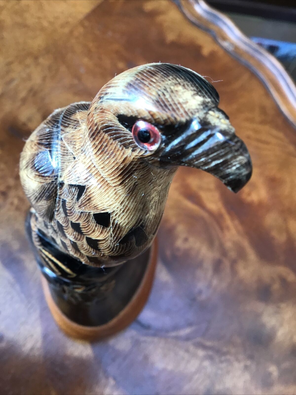 Home Decor Intricately Carved Bovine Horn In The Form Of Eagle Glass Eyes Wooden Plinth photo