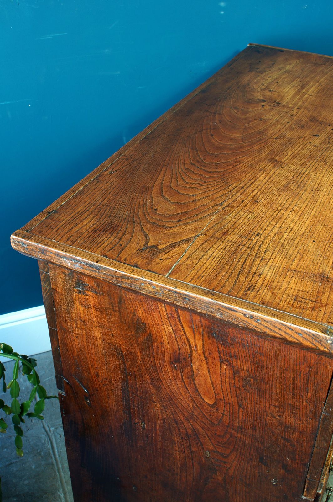 photo furniture Georgian Elm Mule Chest.