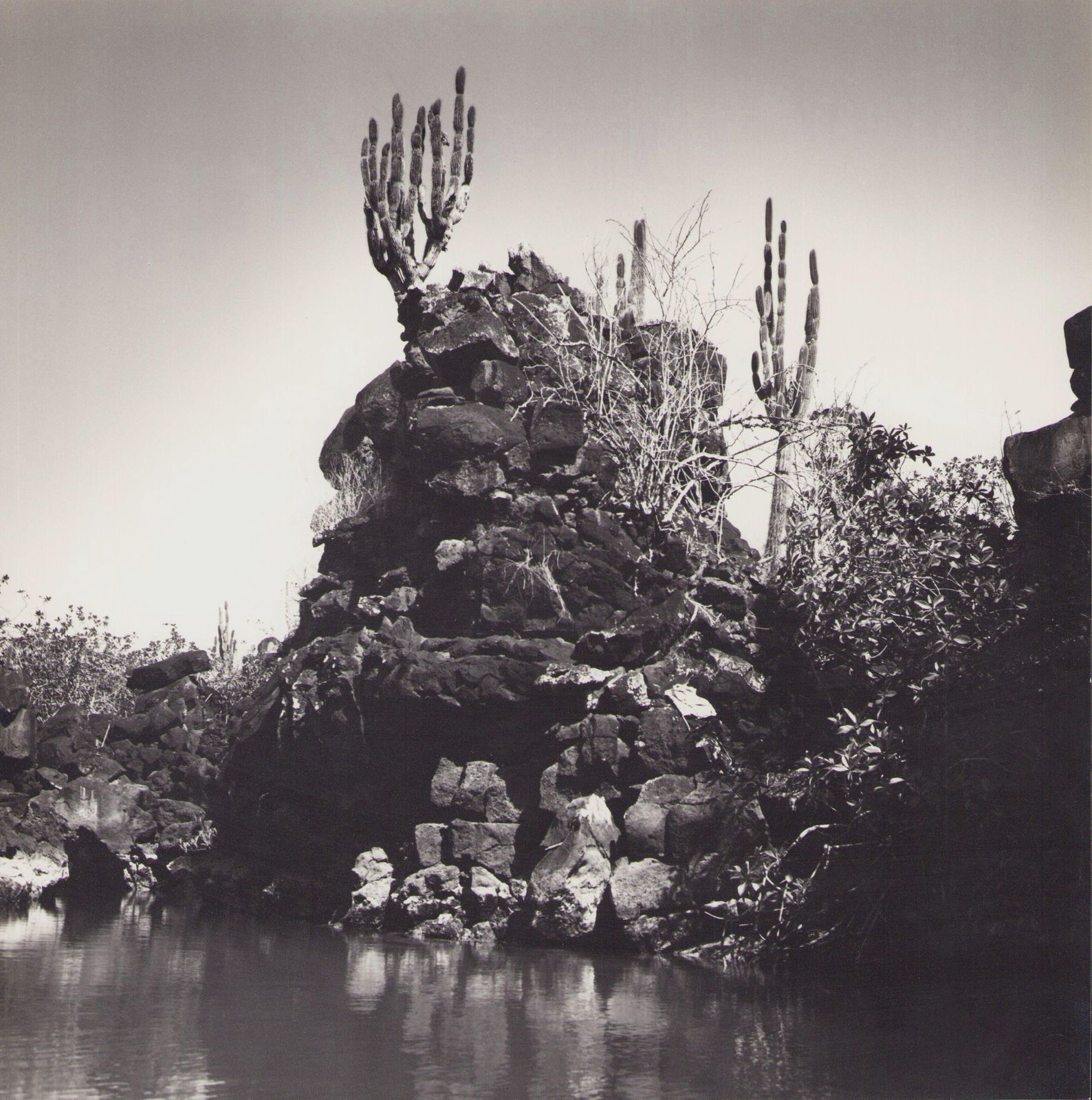 Hanna Seidel Galápagos, Coast, Black And White Photography, 1960s